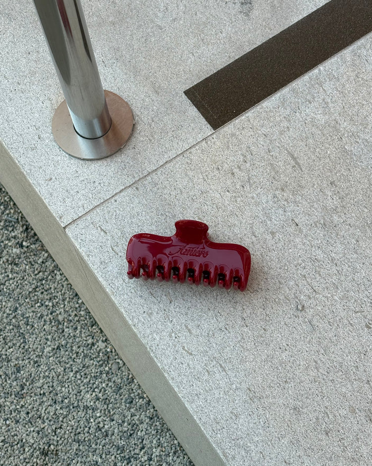 Amiere Hair Claw Duo