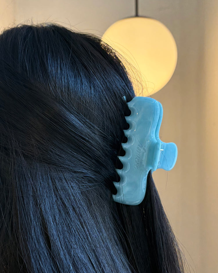 Amiere Hair Claw Duo