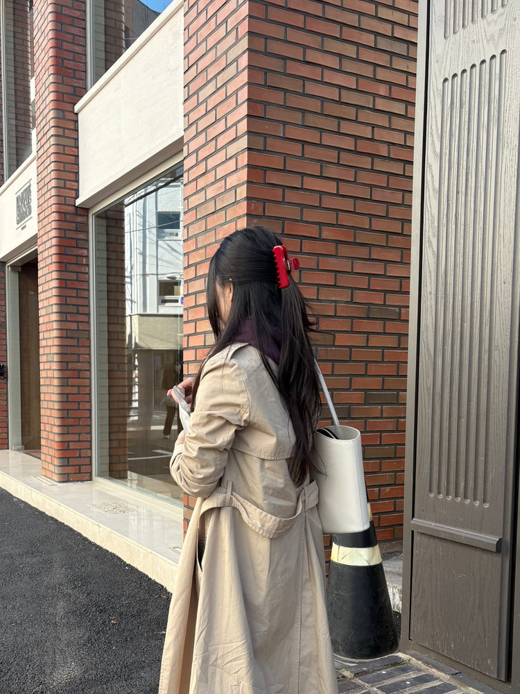 Amiere Hair Claw Duo