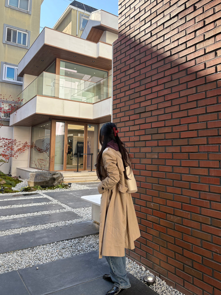 Amiere Hair Claw Duo