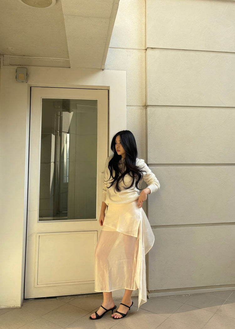 Sheer Skirt