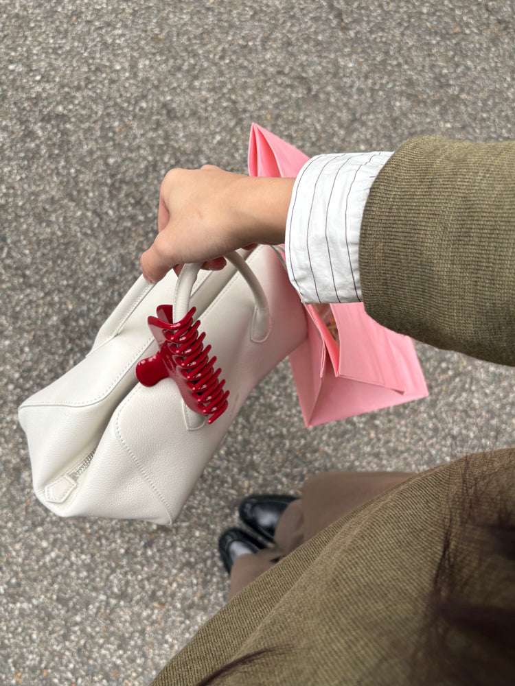 Amiere Hair Claw Duo